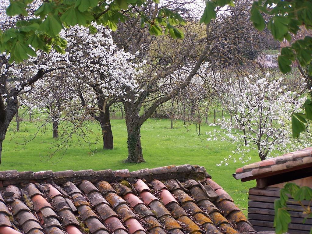 Clos De Pomeir Affittacamere Pommiers  Esterno foto